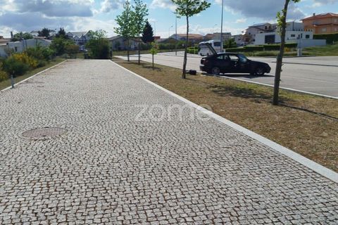 Terra a Moimenta da Beira, Viseu, Moimenta da Beira - € 180.000 | Ref: ZMPT577579 - foto 33