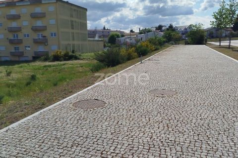 Terra a Moimenta da Beira, Viseu, Moimenta da Beira - € 180.000 | Ref: ZMPT577579 - foto 36