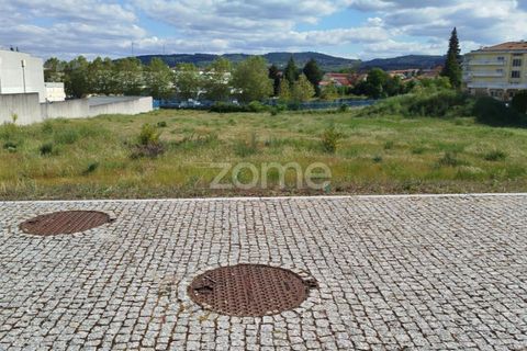 Terra a Moimenta da Beira, Viseu, Moimenta da Beira - € 180.000 | Ref: ZMPT577579 - foto 37