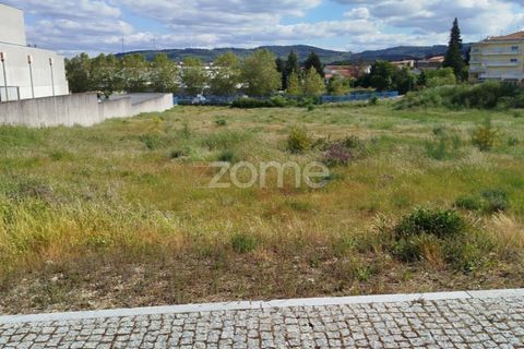 Terra a Moimenta da Beira, Viseu, Moimenta da Beira - € 180.000 | Ref: ZMPT577579 - foto 39
