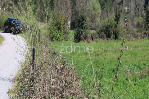 Terra a Moimenta da Beira, Viseu, Moimenta da Beira - € 25.000 | Ref: ZMPT577123 - foto 3