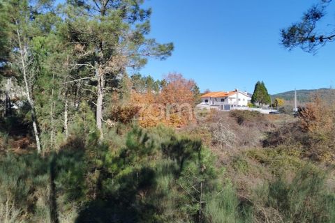Terra a Moimenta da Beira, Viseu, Moimenta da Beira - € 25.000 | Ref: ZMPT577123 - foto 4