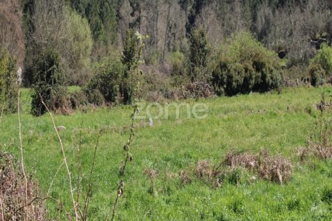 Terra a Moimenta da Beira, Viseu, Moimenta da Beira - € 25.000 | Ref: ZMPT577123 - foto 7