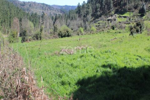 Terra a Moimenta da Beira, Viseu, Moimenta da Beira - € 25.000 | Ref: ZMPT577123 - foto 10