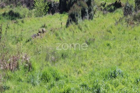 Terra a Moimenta da Beira, Viseu, Moimenta da Beira - € 25.000 | Ref: ZMPT577123 - foto 11