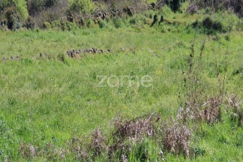 Terra a Moimenta da Beira, Viseu, Moimenta da Beira - € 25.000 | Ref: ZMPT577123 - foto 16