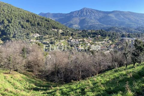 Terra a Sainte-Agnes, Alpes-Maritimes, Sainte-Agnes - € 918.000 | Ref: 85985793 - foto 2