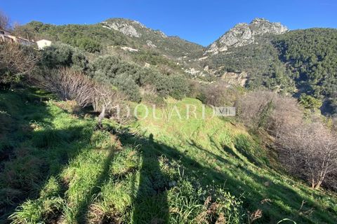 Terra a Sainte-Agnes, Alpes-Maritimes, Sainte-Agnes - € 918.000 | Ref: 85985793 - foto 3