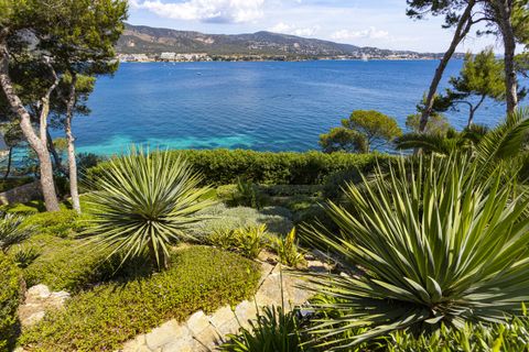 Villa i Torrenova, Mallorca, Torrenova - € 8.200.000 | Ref: SH-1594 - foto 35