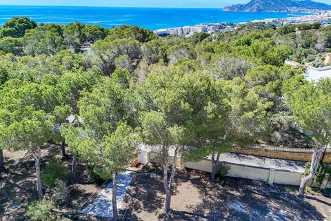 Działka: Altea, Alicante, Altea – 690 000 € | Ref: 00804A – zdjęcie 19