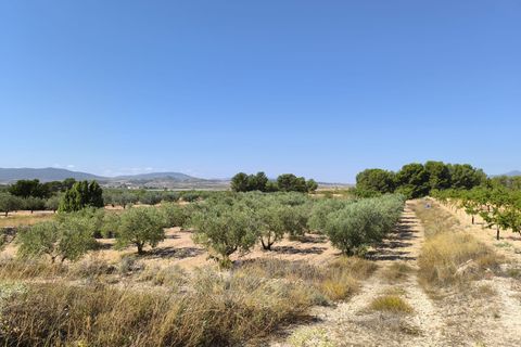 Helårsgrund i Monovar, Alicante, Monovar - € 37.500 | Ref: 61102 - foto 1