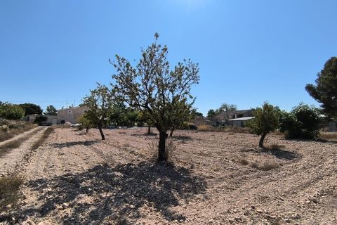 Helårsgrund i Monovar, Alicante, Monovar - € 37.500 | Ref: 61102 - foto 2