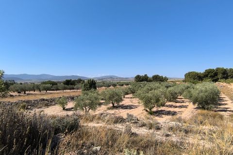 Helårsgrund i Monovar, Alicante, Monovar - € 37.500 | Ref: 61102 - foto 3