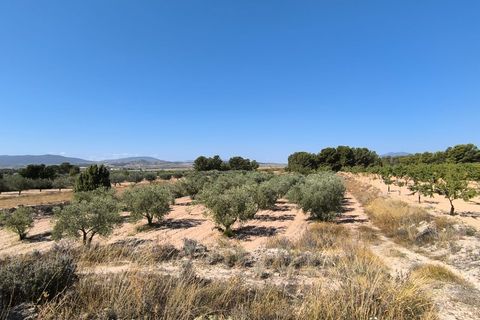 Helårsgrund i Monovar, Alicante, Monovar - € 37.500 | Ref: 61102 - foto 4