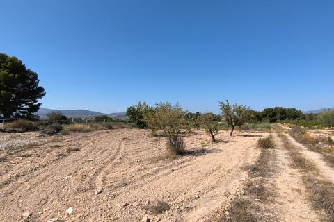 Helårsgrund i Monovar, Alicante, Monovar - € 37.500 | Ref: 61102 - foto 5