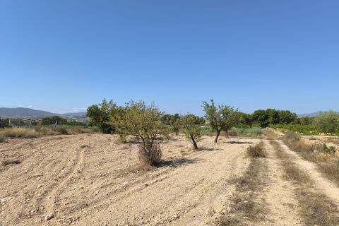Helårsgrund i Monovar, Alicante, Monovar - € 37.500 | Ref: 61102 - foto 6