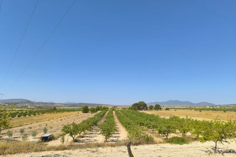 Helårsgrund i Monovar, Alicante, Monovar - € 45.500 | Ref: 61101 - foto 1