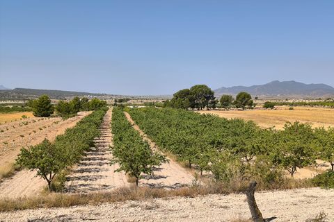 Helårsgrund i Monovar, Alicante, Monovar - € 45.500 | Ref: 61101 - foto 2