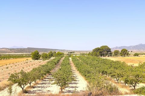 Helårsgrund i Monovar, Alicante, Monovar - € 45.500 | Ref: 61101 - foto 3