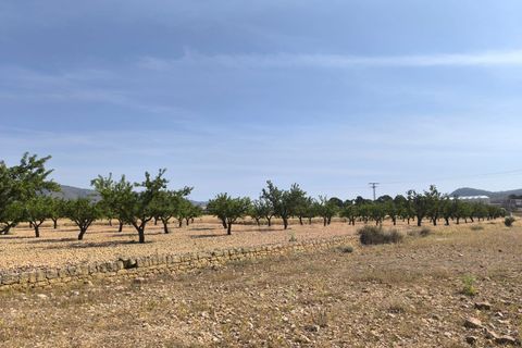 Helårsgrund i Monovar, Alicante, Monovar - € 16.500 | Ref: 61100 - foto 2