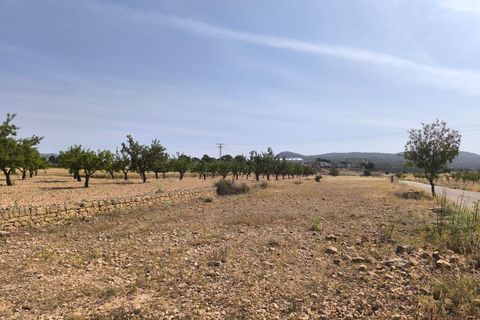 Helårsgrund i Monovar, Alicante, Monovar - € 16.500 | Ref: 61100 - foto 3