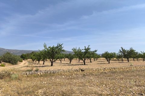 Helårsgrund i Monovar, Alicante, Monovar - € 16.500 | Ref: 61100 - foto 4