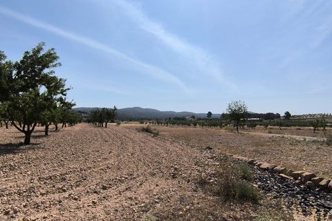 Helårsgrund i Monovar, Alicante, Monovar - € 16.500 | Ref: 61100 - foto 5