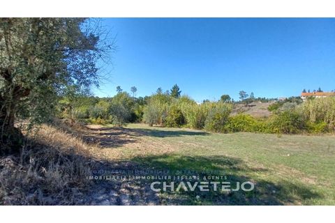 Terra a Tomar, Santarem, Tomar - € 35.000 | Ref: 609/25 - foto 2