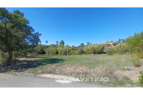 Terra a Tomar, Santarem, Tomar - € 35.000 | Ref: 609/25 - foto 3