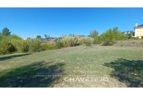 Terra a Tomar, Santarem, Tomar - € 35.000 | Ref: 609/25 - foto 4