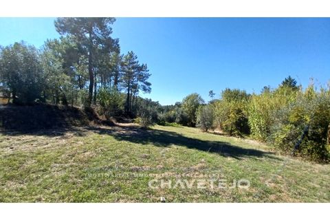 Terra a Tomar, Santarem, Tomar - € 35.000 | Ref: 609/25 - foto 5