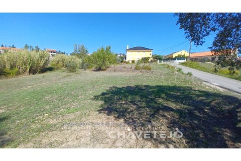 Terra a Tomar, Santarem, Tomar - € 35.000 | Ref: 609/25 - foto 6