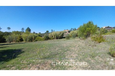 Terra a Tomar, Santarem, Tomar - € 35.000 | Ref: 609/25 - foto 7