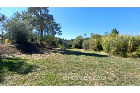 Terra a Tomar, Santarem, Tomar - € 35.000 | Ref: 609/25 - foto 8