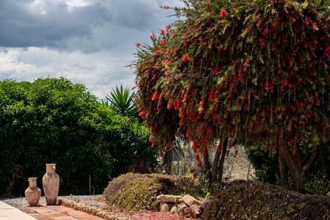 Finca i Alora, Malaga, Alora - € 450.000 | Ref: SPCRM3130 - foto 16