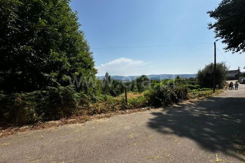 Terra a Tarouca, Viseu, Tarouca - € 30.000 | Ref: 123250164 - foto 2