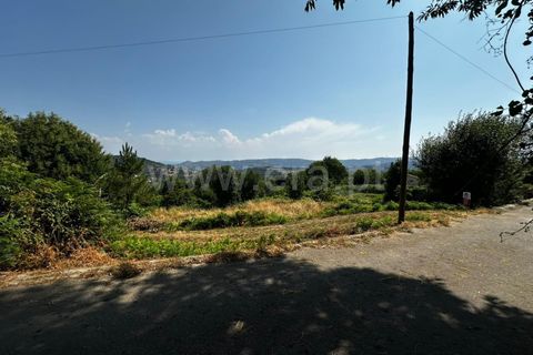 Terra a Tarouca, Viseu, Tarouca - € 30.000 | Ref: 123250164 - foto 3