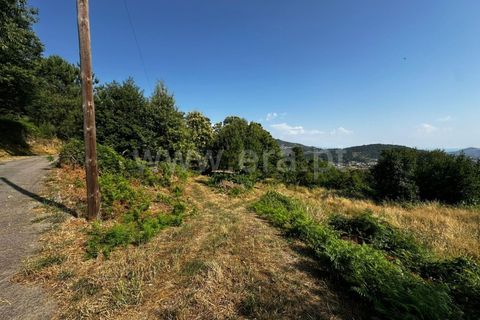 Terra a Tarouca, Viseu, Tarouca - € 30.000 | Ref: 123250164 - foto 4