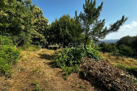 Terra a Tarouca, Viseu, Tarouca - € 30.000 | Ref: 123250164 - foto 6
