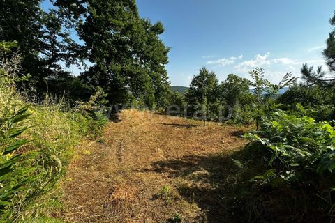 Terra a Tarouca, Viseu, Tarouca - € 30.000 | Ref: 123250164 - foto 7