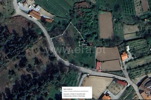 Terra a Tarouca, Viseu, Tarouca - € 30.000 | Ref: 123250164 - foto 8
