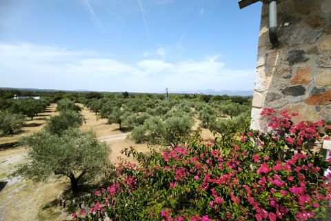 Landejendom i Llubi, Mallorca, Llubi - € 2.150.000 | Ref: LLI53089ETV - foto 11