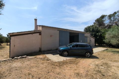 Landejendom i Llubi, Mallorca, Llubi - € 2.150.000 | Ref: LLI53089ETV - foto 24