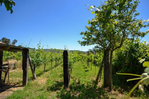 Villa i Fabro, Terni, Fabro - € 110.000 | Ref: OR6214M-506503 - foto 28