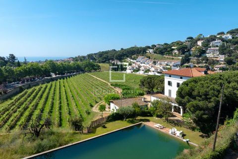 Landejendom i Alella, Barcelona, Alella - € 3.700.000 | Ref: MRS59218 - foto 1