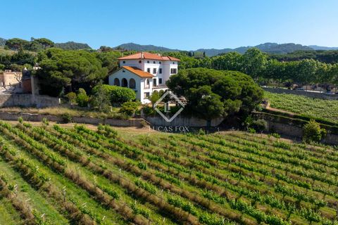 Landejendom i Alella, Barcelona, Alella - € 3.700.000 | Ref: MRS59218 - foto 4