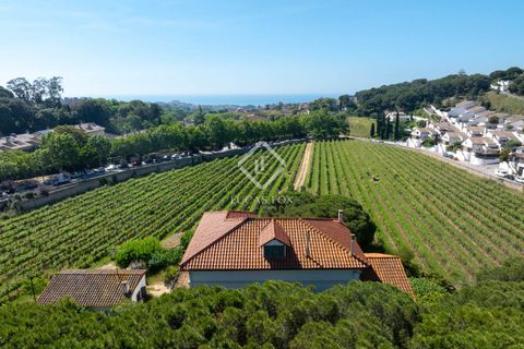 Landejendom i Alella, Barcelona, Alella - € 3.700.000 | Ref: MRS59218 - foto 5