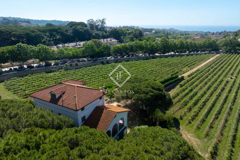 Landejendom i Alella, Barcelona, Alella - € 3.700.000 | Ref: MRS59218 - foto 6