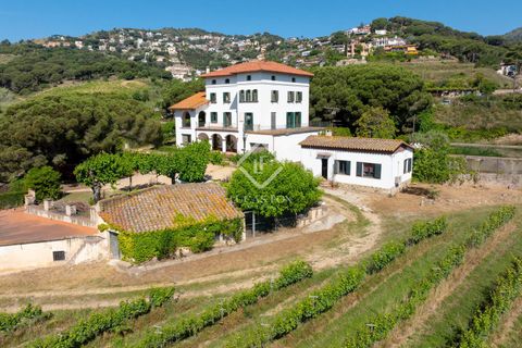 Landejendom i Alella, Barcelona, Alella - € 3.700.000 | Ref: MRS59218 - foto 8