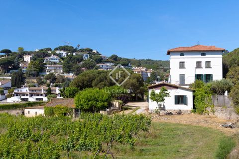 Landejendom i Alella, Barcelona, Alella - € 3.700.000 | Ref: MRS59218 - foto 13